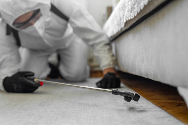 Professional Ant Control technician working in Port Sulphur, LA